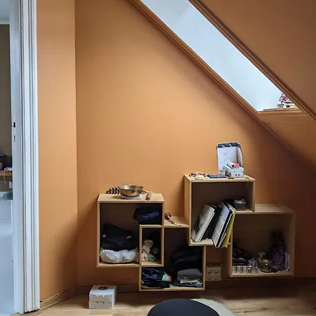 Rom I Loftsleilighet Med Utsikt * Берген