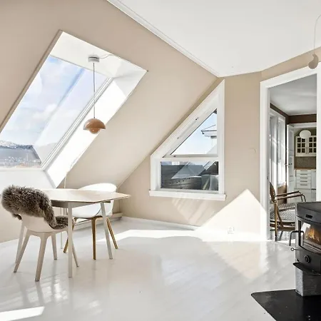 Rom I Loftsleilighet Med Utsikt ベルゲン